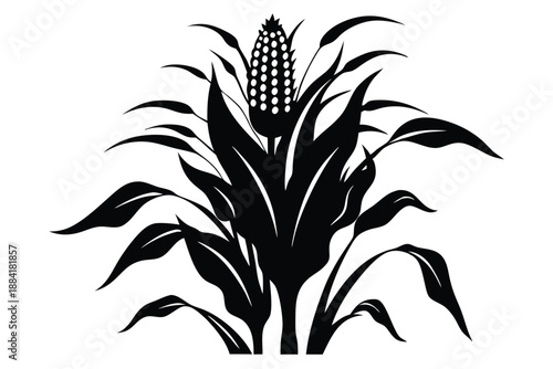 corn plant silhouette line art vector illustration with a white background