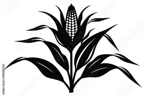 corn plant silhouette line art vector illustration with a white background