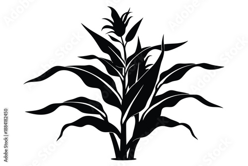 corn plant silhouette line art vector illustration with a white background
