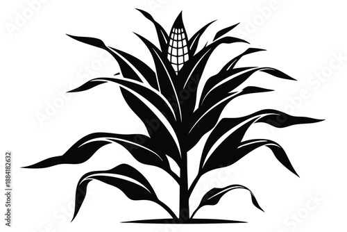 corn plant silhouette line art vector illustration with a white background