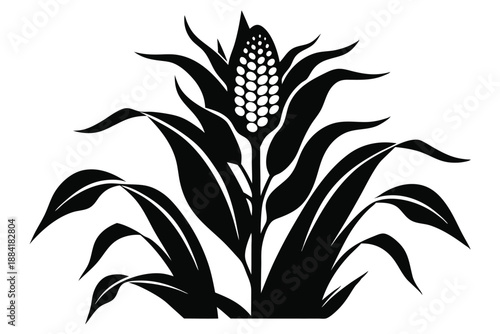 corn plant silhouette line art vector illustration with a white background