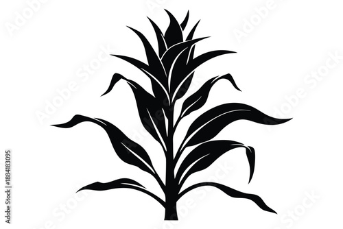 corn plant silhouette line art vector illustration with a white background