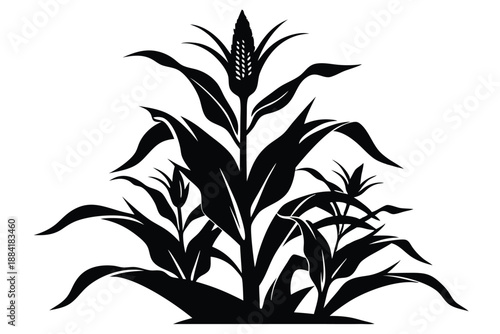 corn plant silhouette line art vector illustration with a white background