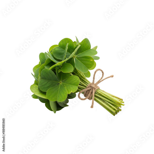 Bunch of green shamrocks tied with twine