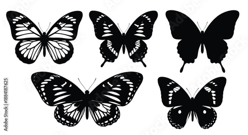 Three monochrome butterflies with detailed wing patterns are displayed on a white background