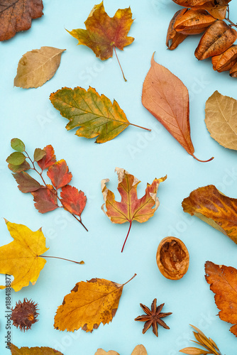 Beautiful autumn compositio...