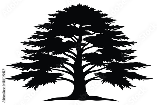 cedar silhouette line art vector illustration with a white background