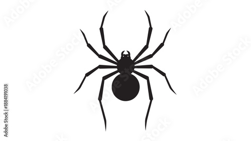 Black widow spider silhouette in mysterious dark tone on white background for arachnid illustration