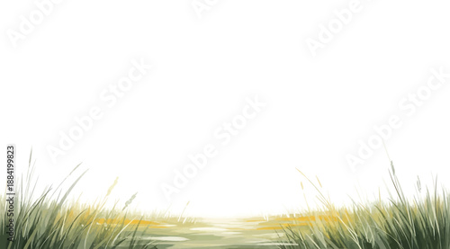 Natural scene with tall green and yellow-tipped grass curving inward from both sides on white background, evoking peaceful meadow atmosphere for decorative, illustrative, and nature-themed visual appl
