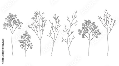 Row of six stylized monochromatic tree illustrations with distinct branching and foliage density, highlighting morphological diversity for botanical comparison, design reference, and artistic inspirat