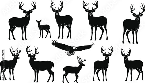 Deer and eagle silhouettes collection, cad drawing flat vector illustration, wild stag buck fawn poses, black forest wildlife icons set