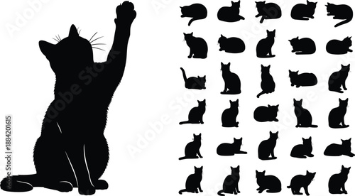 Cat silhouette poses collection, cad drawing flat vector illustration, cute kitten gestures, black pet icons, playful domestic animal design set