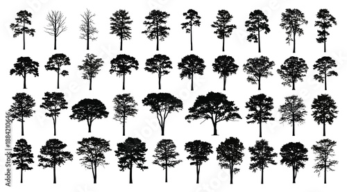 Vector illustration collection of thirty‑five tree silhouettes arranged in grid showing progression from sparse leafless forms to dense full canopies for botanical studies, forestry, seasonal change a