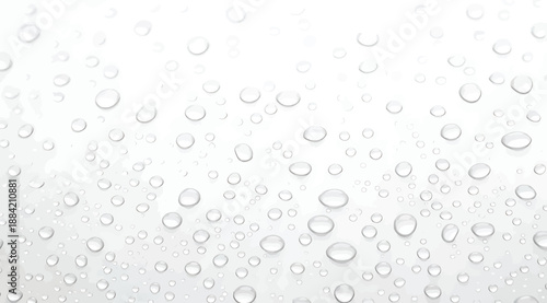 Vector illustration of natural water droplets scattered across smooth surface in high‑contrast design showing condensation, surface tension, hydrophobic and hydrophilic effects for environmental studi