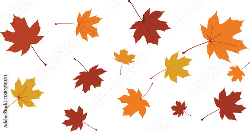Autumn maple leaves vector set with colorful falling foliage elements isolated on white background for seasonal design