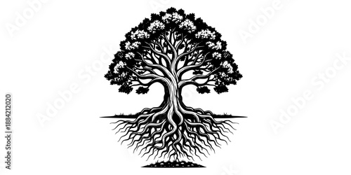Oak Tree Roots Grounding Nature Silhouette