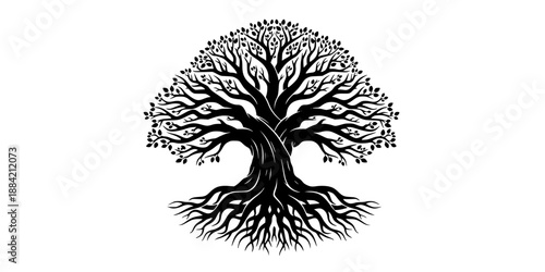 Oak Tree Roots Grounding Nature Silhouette