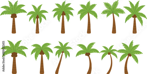 Palm tree vector set with tropical coconut trees in different shapes isolated on white background for summer design
