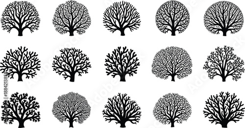 Vector collection of fifteen black silhouettes featuring trees, bushes, and corals isolated on white background for nature and forest design.
