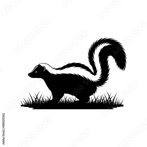 A black and white illustration of a skunk standing in grass with tail raised.