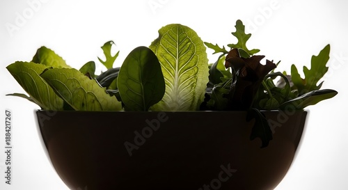 Vibrant mixed salad greens illuminated dramatically from behind showcasing fresh leaf textures in a bowl