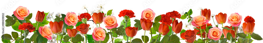 Naklejka premium Fresh flowers in various colors arranged in a neat line isolated on transparent background, PNG file