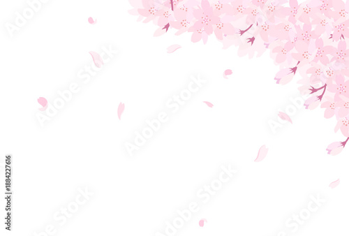 満開の桜のイラスト_横2