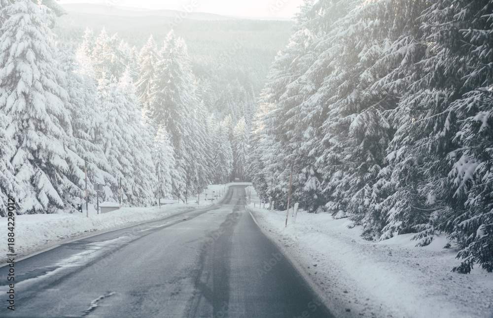Fototapeta premium Winter road trip through a snowy forest in Oberwiesenthal, Ore Mountains