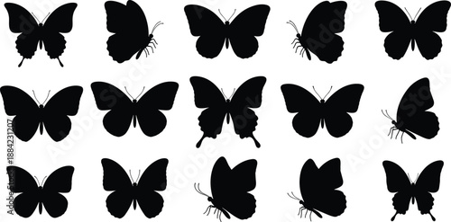 Butterfly silhouette set featuring multiple species wing shapes and flying poses isolated on white background for nature vector design