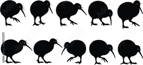 Kiwi bird silhouette collection showing multiple walking and standing poses isolated on white background for New Zealand wildlife vector design