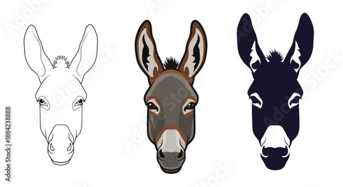 Three Donkey Head Illustrations Outline, Color, and Silhouette