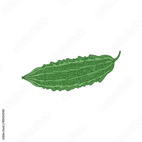 Fresh Green Bitter Gourd Vegetable Isolated on White Background.