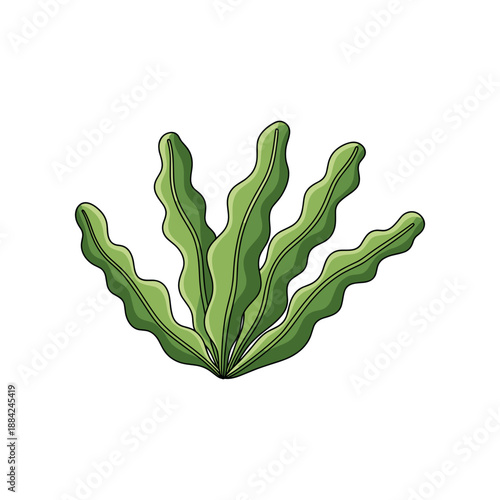 Illustration of a vibrant green sea plant with wavy leaves.