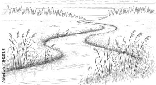 Winding river through marshland landscape sketch, rural nature scene with wild grass and reeds vector illustration
