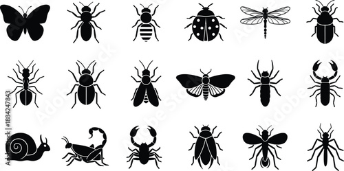 A comprehensive collection of various insect and arthropod silhouettes for educational use