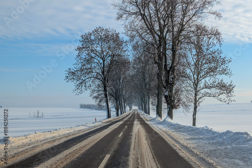 Winter road in Poland