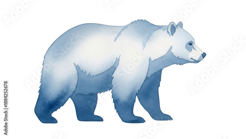 Watercolor painting of bear on black background with white outline and blue.