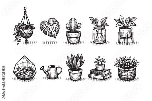 A hand-drawn black and white collection of various potted houseplants, including succulents, cacti, and monstera, with a terrarium and watering can, ideal for organic home decor.
