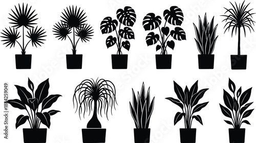 Indoor potted plant silhouette icon set, modern houseplant collection featuring tropical foliage, minimalist black vector illustration design