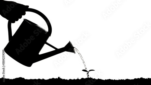 Watering a small seedling with a watering can, nurturing growth and development in a simple illustration