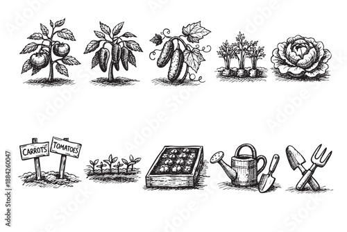 This detailed hand-drawn black and white sketch features garden vegetables, planting tools, and growing plants, offering a rustic and organic feel for agricultural, food, or educational designs.
