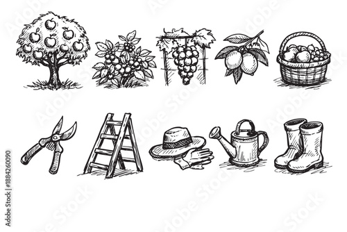 A collection of black and white hand-drawn line art illustrations depicting various gardening tools and fresh fruits like apples and grapes, perfect for farm, harvest, or outdoor themes.