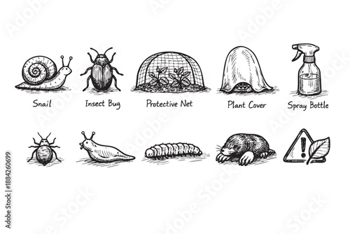 Hand-drawn illustration of common garden pests, plant covers, and spray bottle on white background, showing the fight against harmful insect and protect growing plants.
