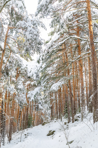 Snowy landscape of mountains port of Canencia in Madrid, Spain