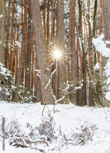 Snowy landscape of mountains port of Canencia in Madrid, Spain