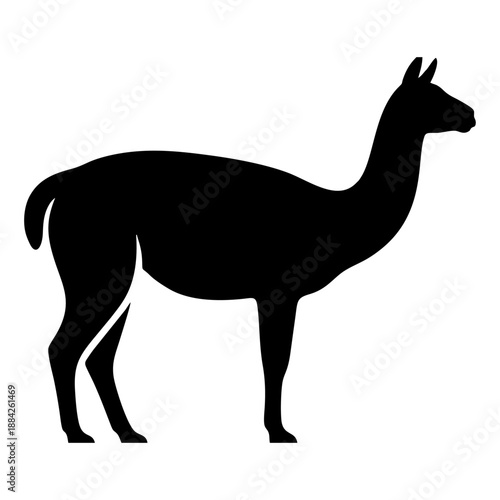 Silhouette of a llama standing alone in a serene landscape viewed from the side