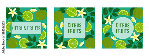 Fresh citrus fruit banners with limes, leaves, and flowers in a flat, minimal style on a turquoise background. Perfect for organic product packaging, natural cosmetics, healthy food, or summer ads.