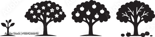 Four Stages of Fruit Tree Growth: From Seedling to Blooming, Fruiting, and Winter Dormancy Cycle | Monochrome Agriculture and Ecology Vector Icons