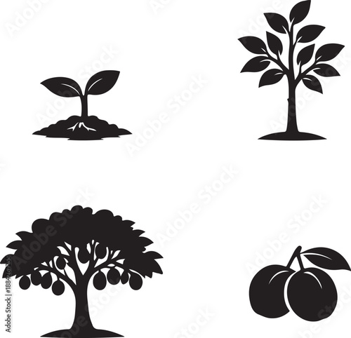 Black Silhouette Vector Icons Set: Plant Growth Stages, Fruit Tree Lifecycle, Sprout, Sapling, and Harvest Elements for Agriculture, Ecology, and Nature Graphics.