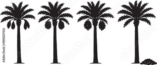Set of Four Black Date Palm Tree Silhouettes Vector Illustration - Perfect Tropical Iconography for Desert Landscape Designs, Exotic Fruit Packaging, and Travel Banners